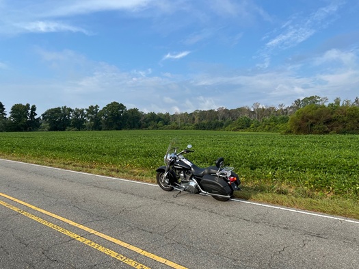 motorcycle parked on a quiet country road 2005 Harley Road King review by owner
