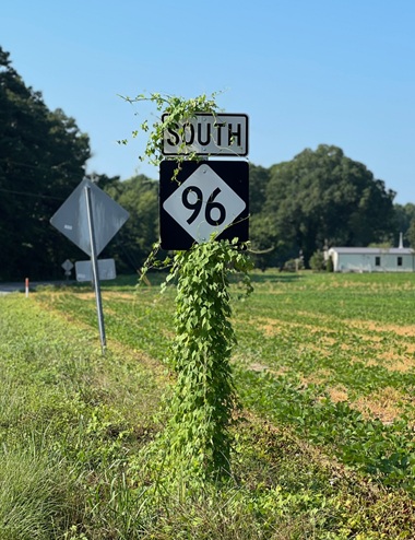 a quiet country road