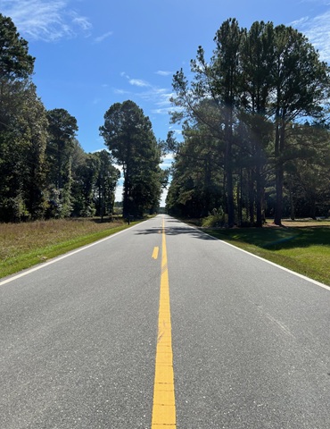Devils Racetrack Road NC motorcycle roads North Carolina