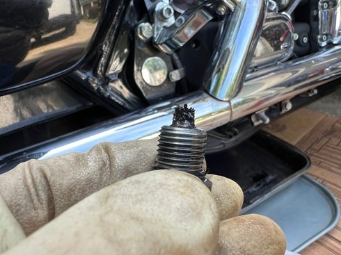 magnetic drain plug Harley Big Twin diy 3 hole oil change